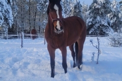 586687196_18413146570184629_2258344546590503253_n