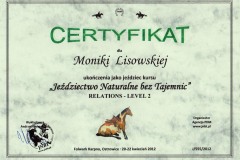 certyfikat-2