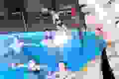 332136349_1209099693063829_5257939816116494565_n