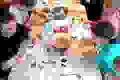 332167002_877442013317139_7350468951698297382_n