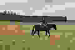 332263705_524241269850907_833220293717192534_n