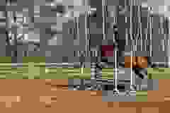 332327682_201196725834654_7253800014364775218_n