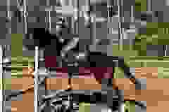 332361566_721571792676674_7570850023869982982_n