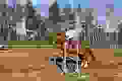 332927159_715966206921146_1518690858201538717_n