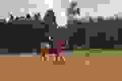 113571432_1946165035518876_2133875344838105977_n