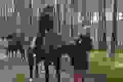 113863164_1946164722185574_7365057682208203495_n