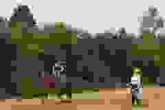 113964771_1946166155518764_8978286267085695628_n