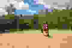 114894504_1946165312185515_8732057464894320248_n