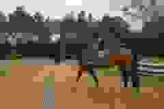 114899941_1946166232185423_4630998773093914991_n