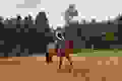 115675130_1946163825518997_7344173346457090562_n