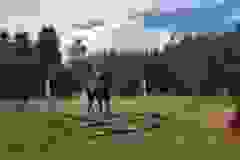 115704233_1946165108852202_6640662277028932341_n