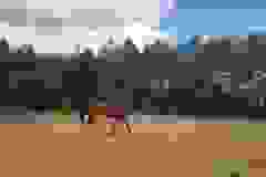 115723316_1946164998852213_9083009082888171213_n