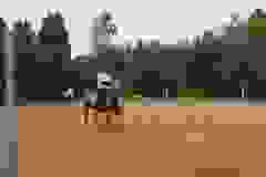 115723316_1946166308852082_5385212503975961316_n