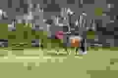 115731332_1946166462185400_5707668103831651309_n