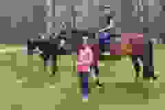 115747855_1946164828852230_3453774218625605655_n