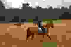 115747877_1946164238852289_3851523866388983656_n