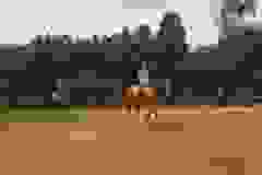 115749594_1946164055518974_2717981705052809033_n