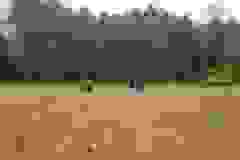 115803155_1946166078852105_7470683267868842692_n