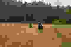 115803315_1946164492185597_3700807880910216493_n
