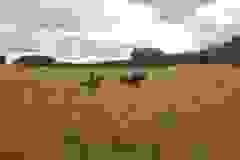115806799_1946164278852285_6477390358662838428_n