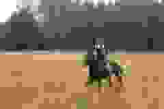 115816694_1946164322185614_7650022457866566630_n