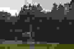 115930723_1947155358753177_8054736210927095061_n