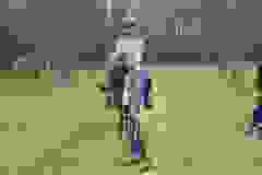 116104931_1946165728852140_2931250292910255811_n