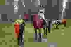 116106001_1946165805518799_2279793105893233739_n