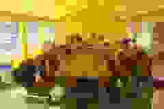 116132847_1946164932185553_6997100682093207615_n