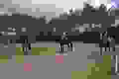 116133599_1946165395518840_3623563322156261486_n