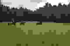 116163817_1949119668556746_8161384180150923183_n