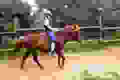 116227867_1950018871800159_1049452526733581360_n