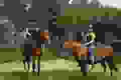 116262769_1950018945133485_8316861417787479005_n