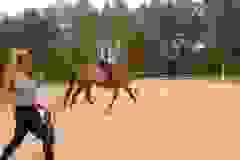 116345292_1950018825133497_2269957634953277898_n
