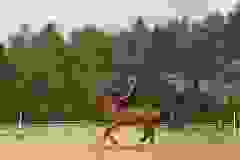 116356333_1950019011800145_8876349277996516585_n
