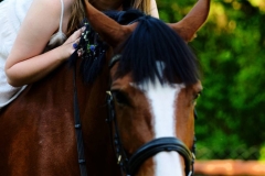 515074718_1187071963432645_6391680366152827831_n