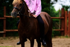 517400182_1192661039540404_2326031843001838029_n