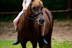 518041467_1192661112873730_5858328279564856300_n