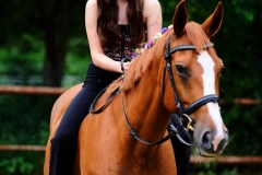 520001166_1192661159540392_8269371980740458453_n