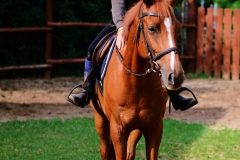 522629951_1198737038932804_3519208108145813035_n