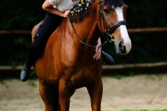 526659453_1208396504633524_7086299205901736996_n