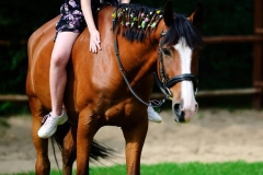 527078141_1208396414633533_8298995013182434655_n