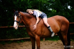 529766890_1215301367276371_6978952912613209864_n