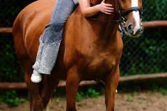 530373338_1215301583943016_5220515524112469524_n