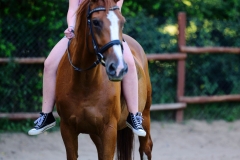 536272290_1228210205985487_1806589891499750893_n