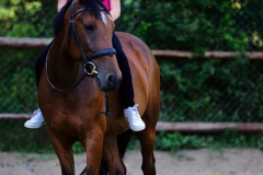 536277847_1228210159318825_406463493324251817_n