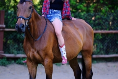 537490180_1228210055985502_7785557152646828329_n