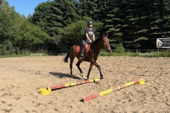 514062126_1183657573774084_1241011655238232759_n