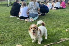 514642343_1183657260440782_8398318998619342764_n