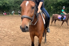 515440004_1186444390162069_772749752743583032_n